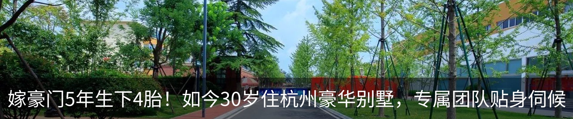 行业资讯