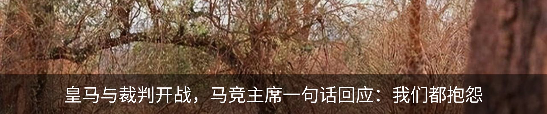 行业资讯
