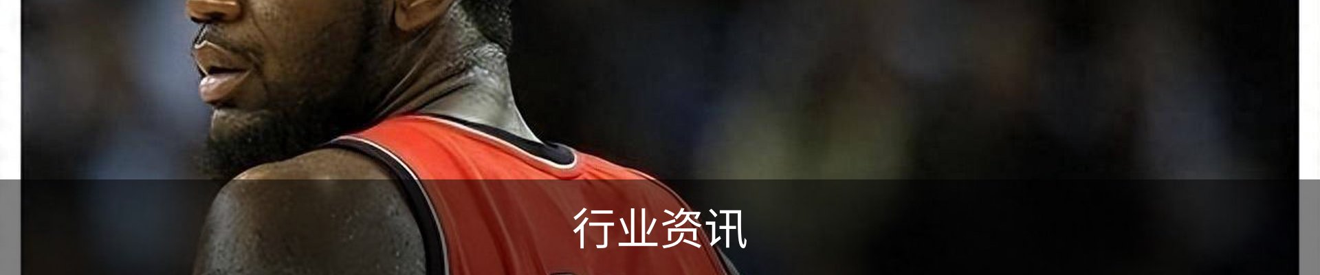 服务项目